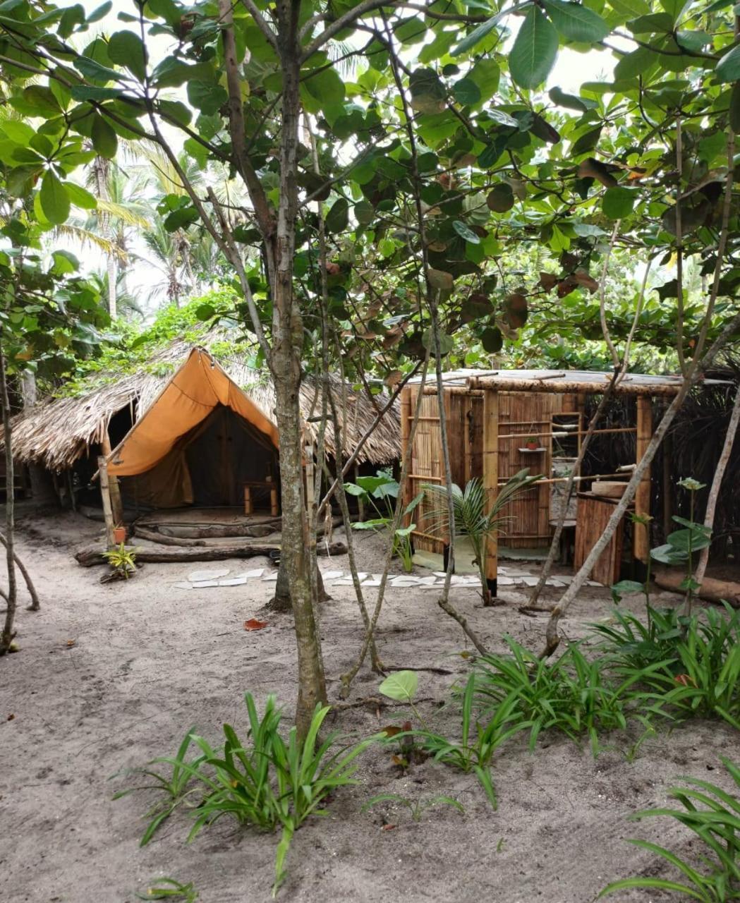 Lote 10 Glamping 호텔 Guachaca 외부 사진