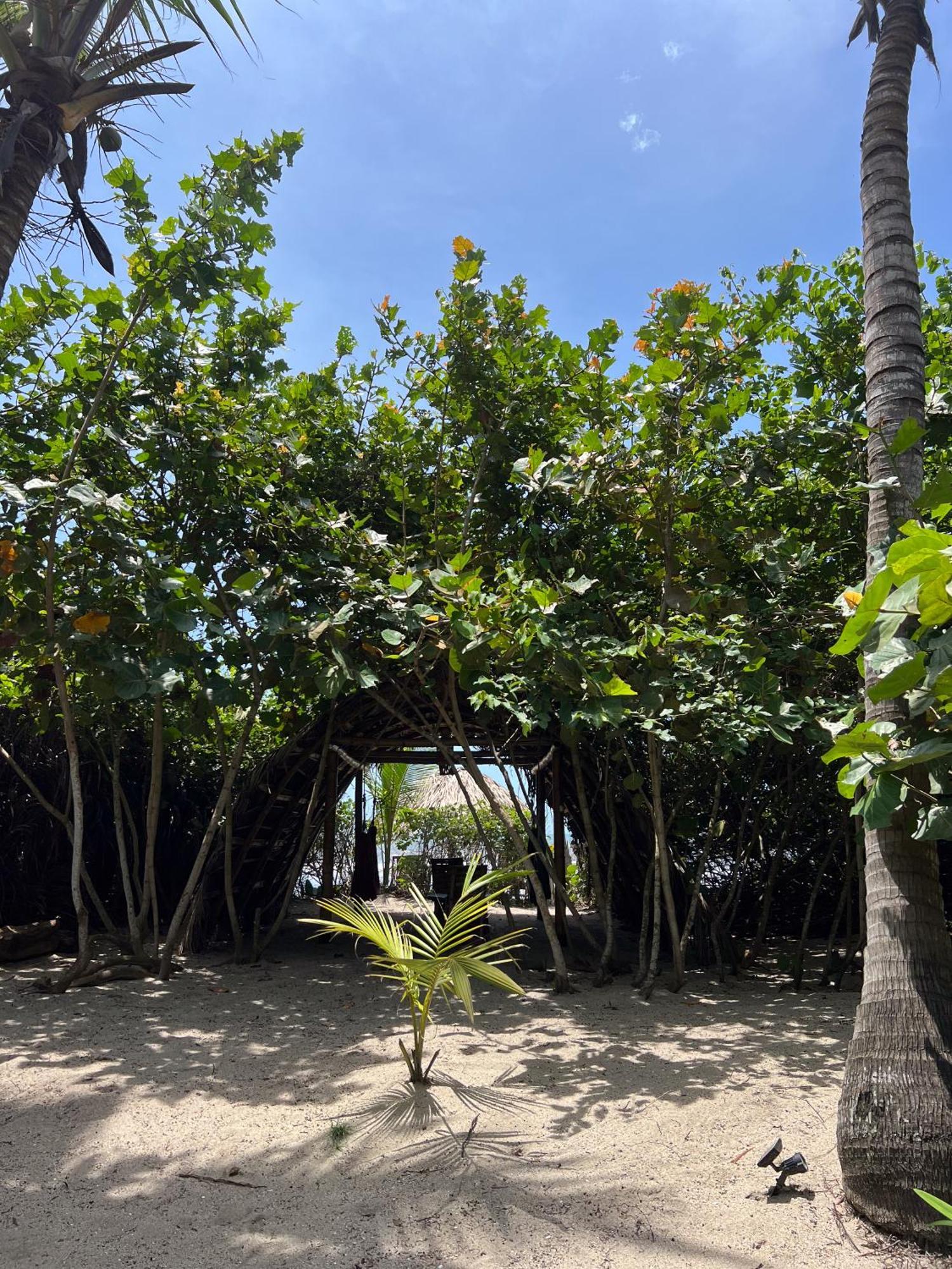 Lote 10 Glamping 호텔 Guachaca 외부 사진